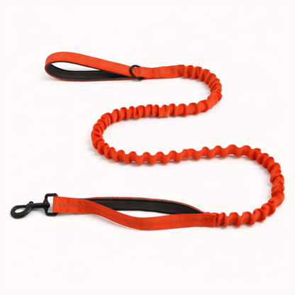 Laisse élastique pour chien Snoozeout
