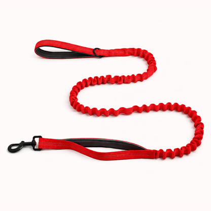 Laisse élastique pour chien Snoozeout