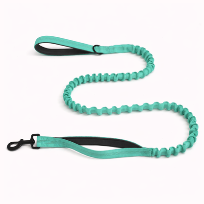 Laisse élastique pour chien Snoozeout