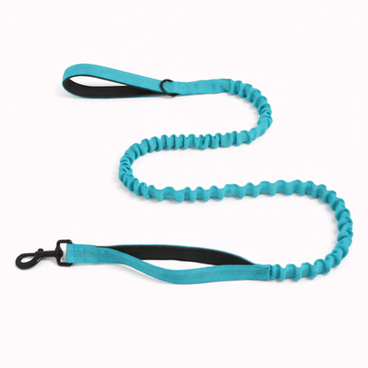 Laisse élastique pour chien Snoozeout