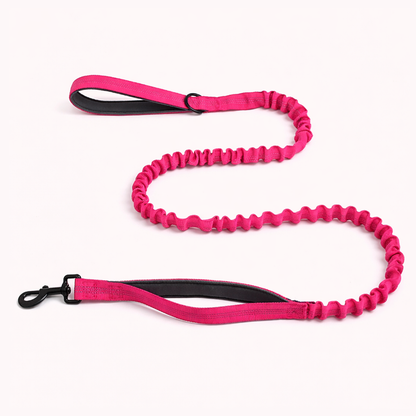 Laisse élastique pour chien Snoozeout