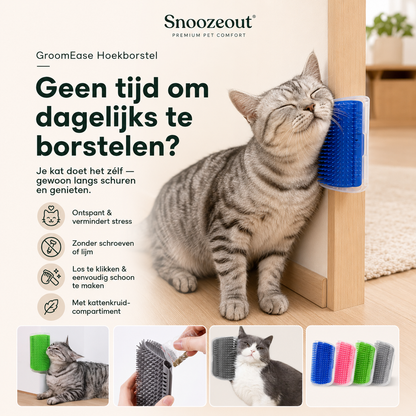 Brosse d'angle auto-massante pour chats avec herbe à chat