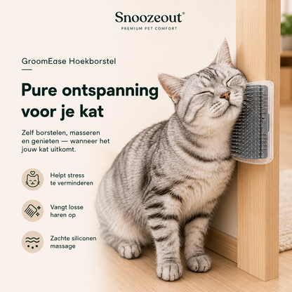 Brosse d'angle auto-massante pour chats avec herbe à chat