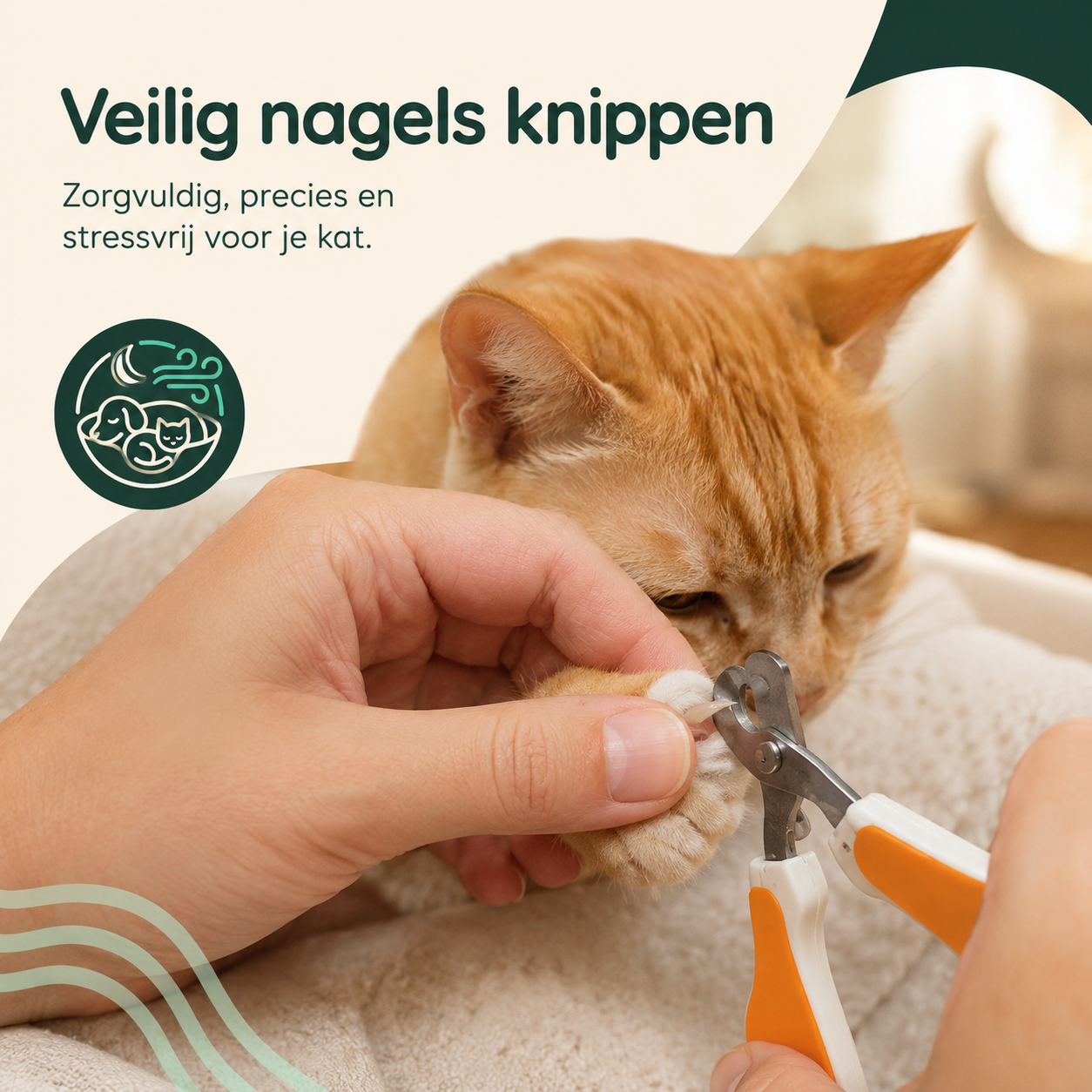 Voile Nagelschaar