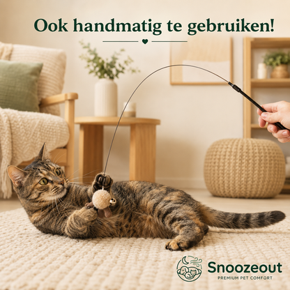 Jeu de chasse aux oiseaux pour chats