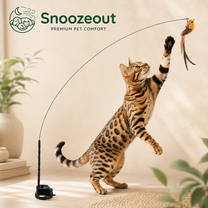 Jeu de chasse aux oiseaux pour chats