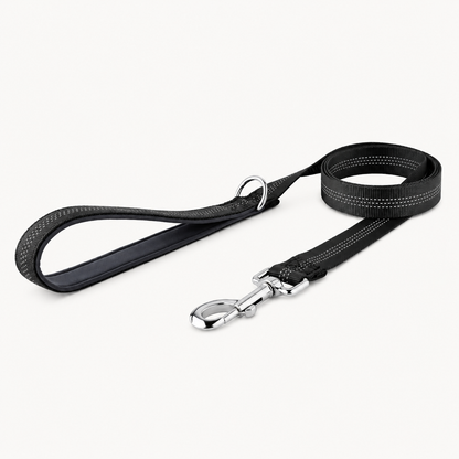 Laisse pour chien classique Snoozeout