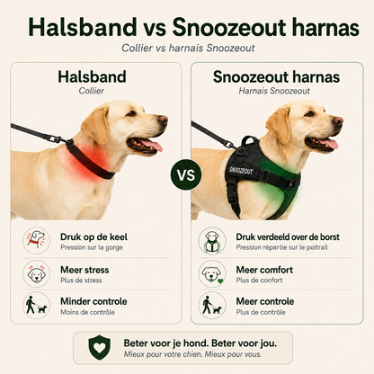 Antitrek Tuig voor Honden: Rustiger Wandelen