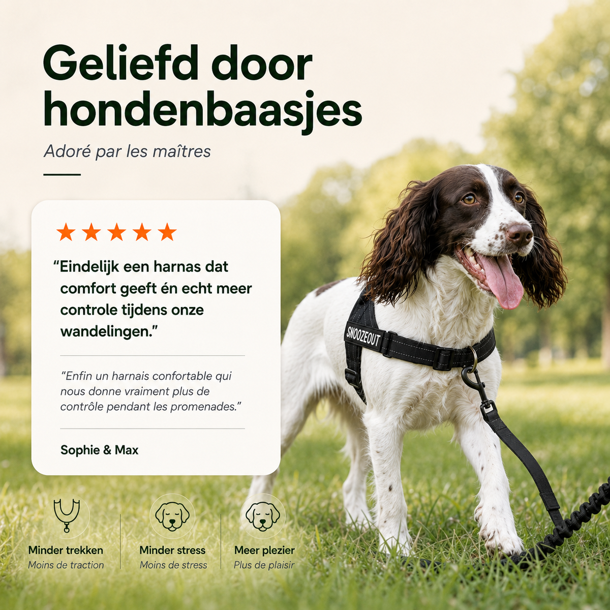 Antitrek Tuig voor Honden: Rustiger Wandelen