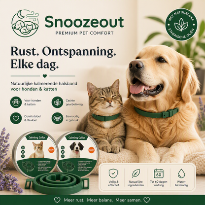 Collier apaisant pour chien et chat