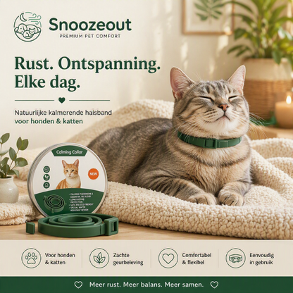 Collier apaisant pour chien et chat
