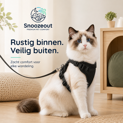 Harnais pour chat réglable avec laisse