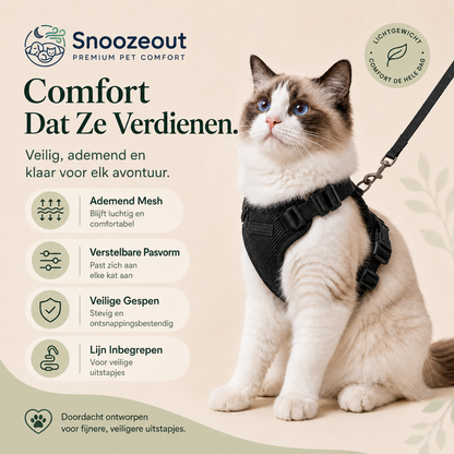 Harnais pour chat réglable avec laisse