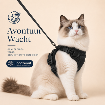 Harnais pour chat réglable avec laisse