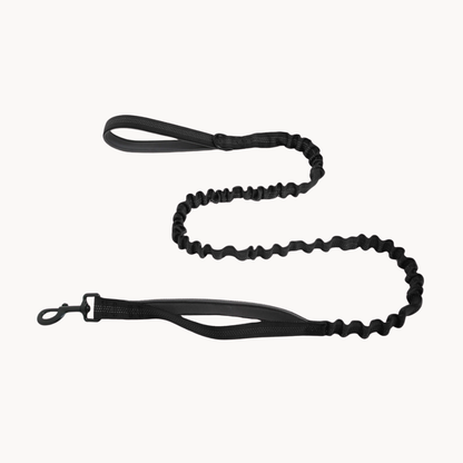 Laisse élastique pour chien Snoozeout