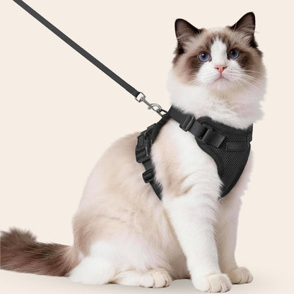 Harnais réglable pour chat avec laisse Snoozeout