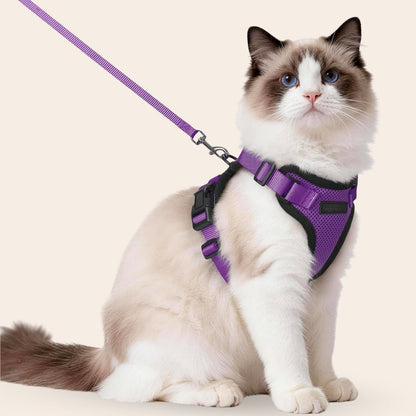 Harnais réglable pour chat avec laisse Snoozeout